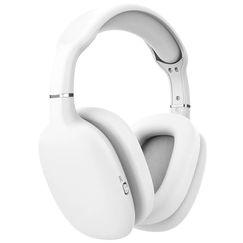 Version Max2 Pro